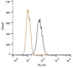 IGF-II R/IGF2R Antibody (2G11) - Azide and BSA Free, Novus Biologicals